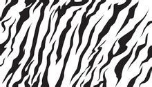 Tiger Pattern Free Stock Photo Public Domain Pictures