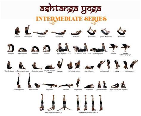 Everything You Need To Know About Ashtanga Yoga Primary Intermediate And Advanced Level Series