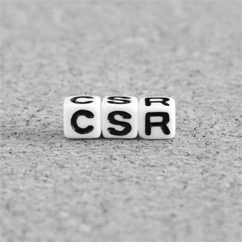 Csr Csr Dsc Corporation