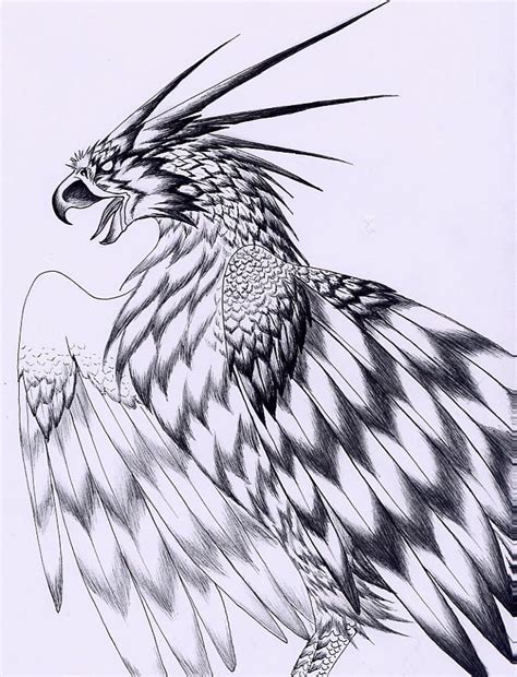 Thunder Bird By Verreaux On Deviantart Mythical Birds Mythical