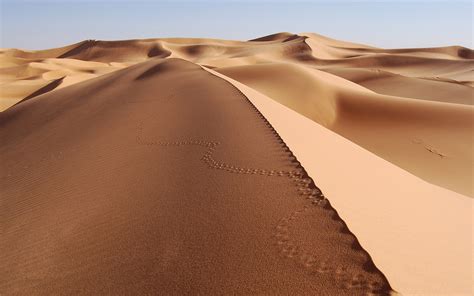 Wallpaper Landscape Nature Desert Dune Sahara Habitat Natural