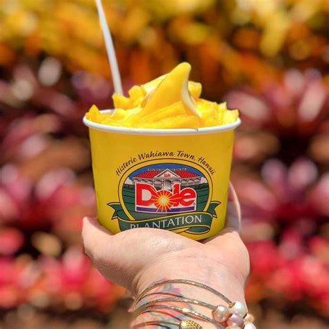 Oahu Sights, Bites & Delights | Oahu Sightseeing Tour