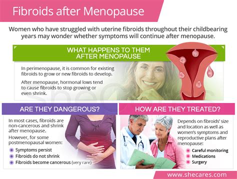 Uterine Fibroids After Menopause Shecares