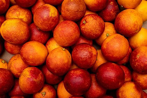 Red Orange Fruit Stock Photo Download Image Now Blood Orange Tree