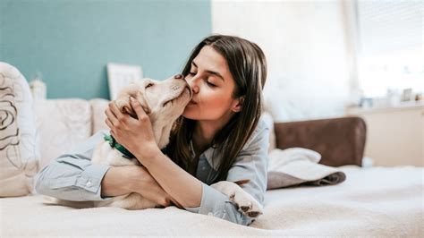 10 Essential Tips For A Healthy And Happy Dogn Dogslife