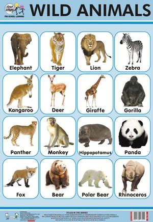 Beauties of english from the male and female names of animals to home page. Wild Animals Chart | Wild animals pictures, Wild animals ...