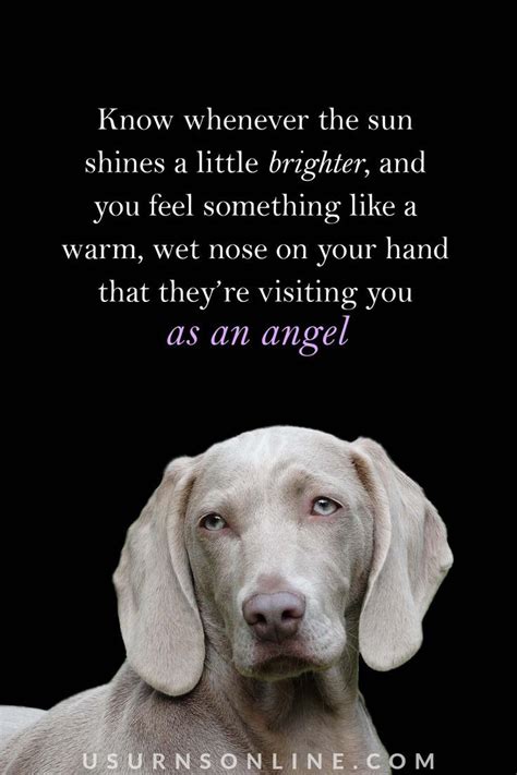 Know Whenever The Sun Shines A Little Brighter And You Feel Something