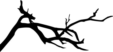 24 Spooky Tree Branch Png Transparent