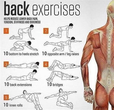 This Is A Great Workout You Can Do With Dumbbells At Home For Your Back