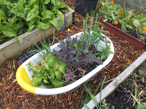 How To Grow Vegetables In Containers