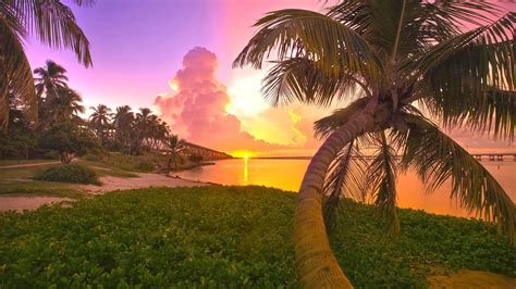 High Definition Tropical Beach Sunset Wallpapers