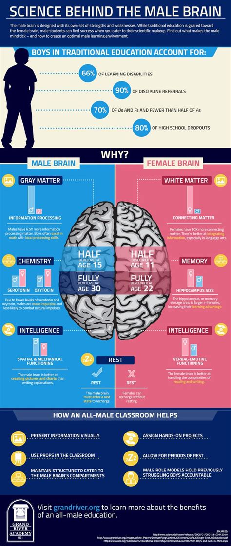 Male Brain And Female Brain Telegraph