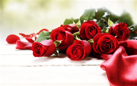 Roses Red Flowers Love Romance Emotions 4you
