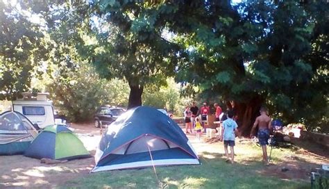 Algeria Camp Updated 2018 Campground Reviews Clanwilliam South
