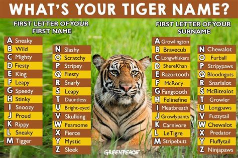 Image Result For Tiger Names Wildlife Adventure Tiger Names