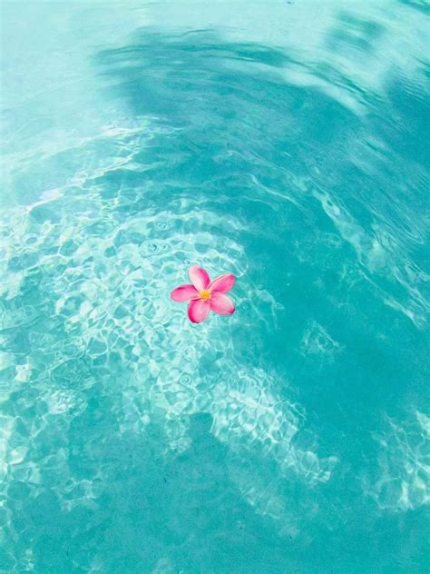 The Folded Paper Flower Opens Up Blooms On Top Of Water 🌸 Summer