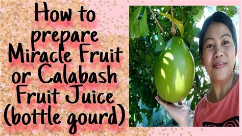 How To Prepare Miracle Fruit Juice Or Calabash Fruit Youtube
