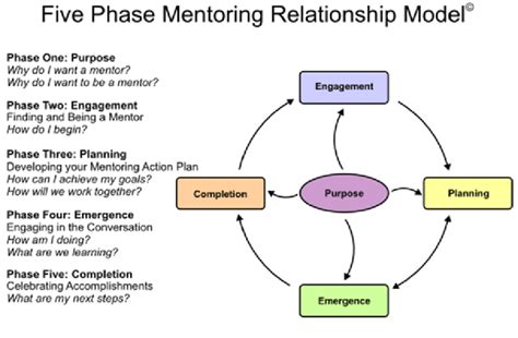 3 Five Phase Mentoring Relationship Model Download