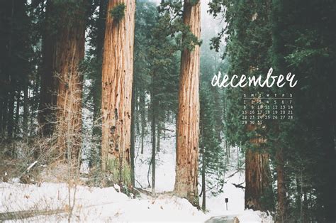 Forest Dreams December Desktop Calendar