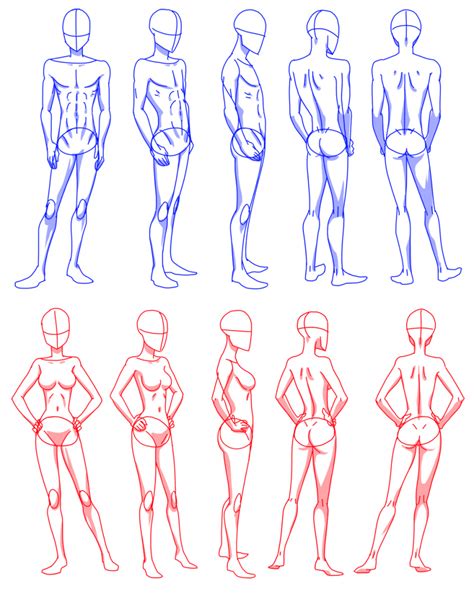 This video shows basic steps to draw full body. Anime Body Sketch at PaintingValley.com | Explore ...