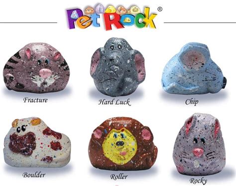 Pet Rocks Photos Holiday Toy Fads Through The Years Holiday Toys