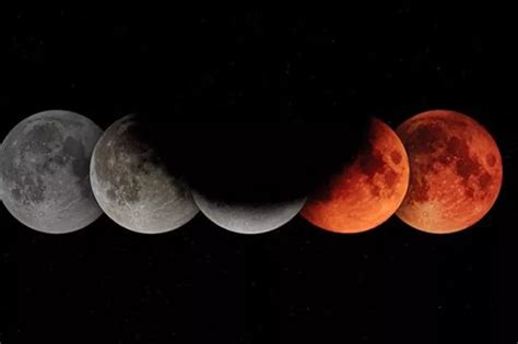 5 Mayıs 2023 Ay tutulması Türkiyeden görülecek mi Ay tutulması ne