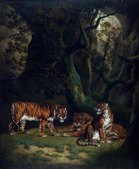 Tigers In A Jungle Painting Julius Caesar Ibbetson Oil Paintings