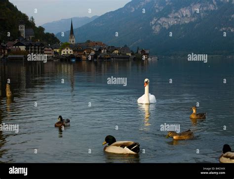 Pictorial Town Of Hallstatt On The Hallstatter See Lake In Austria