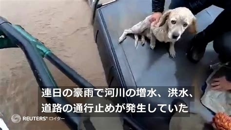 ぱらみり（大量発生型相変異パラオーグ On Twitter Rt Reutersjapan 南米チリにあるマイポ川が豪雨で決壊。ずぶ濡れだったイヌも、抱き抱えられて無事救助された