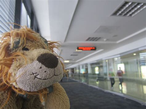 Lewis The Lion Sees A Sign Welcoming Him To Mexico Lewis The Lion
