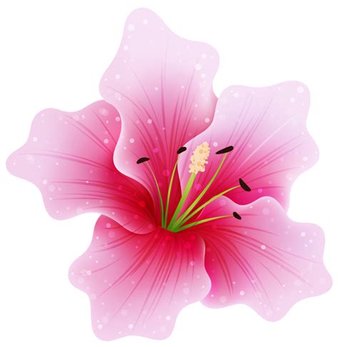 ดอกไม้สีชมพู Png ภาพโปร่งใส Png Arts