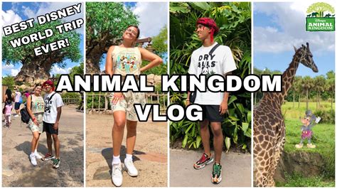 Gettin Wild At Animal Kingdom Disney World Vlog Pt 2 Youtube