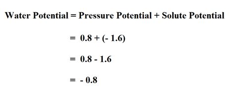 How To Calculate Water Potential