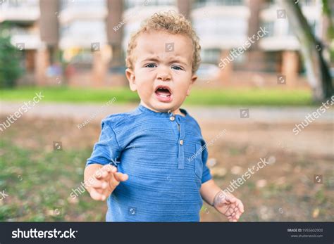 Cute Sad Little Boy Crying Having Stock Photo 1955602903 Shutterstock