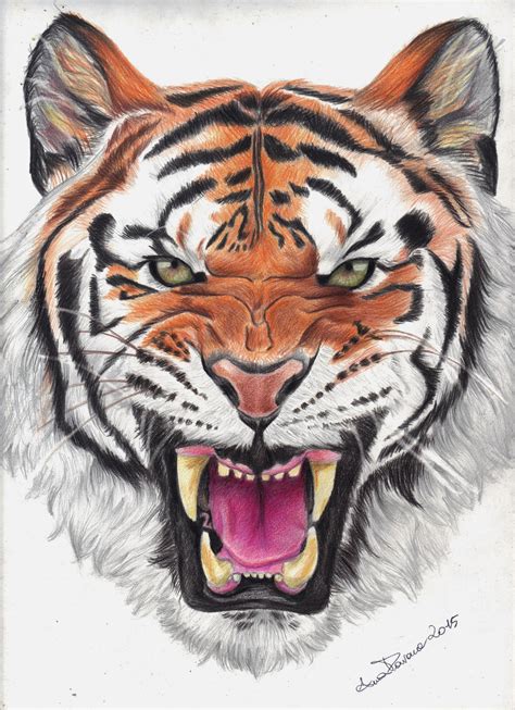 Eyes Of The Tiger By Aoisayzuki On Deviantart