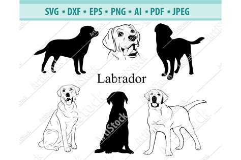 Labrador SVG, Labrador Silhouettes, Dog SVG, Dxf, Png, Eps (423072