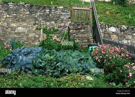 Cottage Garden Garden Beds Stock Photo Alamy