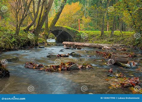 Mysterious Moss Covered Bridge In The Forest On The River Stock Photo