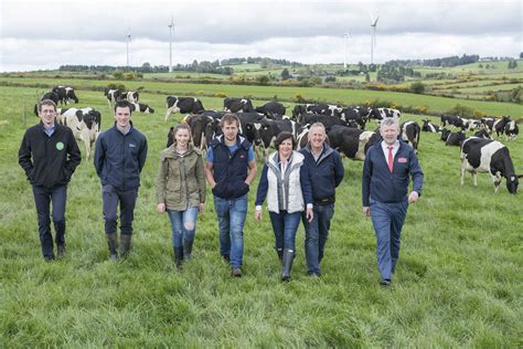 Less Is More Secrets To Success For Green Dairy Farmers Agrilandie