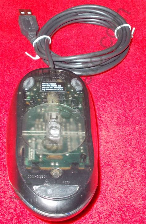 Logitech Hp Usb Optical 2 Button Black Scroll Mouse Gordogatos