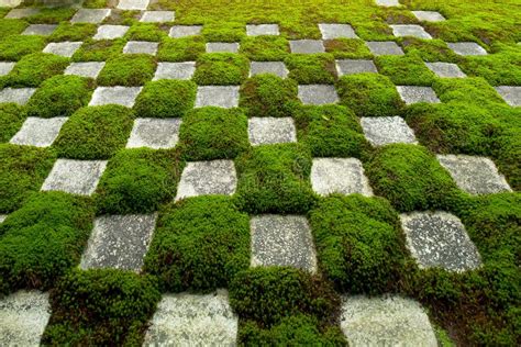 Famous Stone And Moss Garden Stock Photo Image Of Green Buddhism