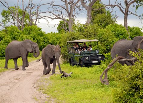 Tanzania Serengeti Voted Best African Safari Park 2018