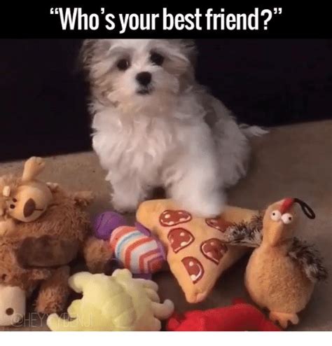Whos Your Best Friend Meme On Meme