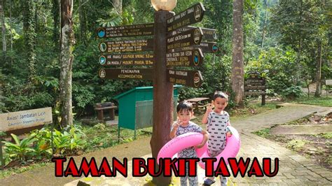 Taman bukit tawau merupakan salah satu daripada tempat yang paling terkenal di tawau. Taman Bukit Tawau #nature #tawau #sayangisungaikita - YouTube