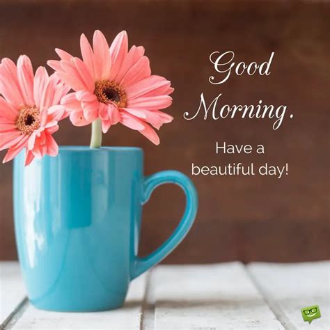 Brilliant Good Morning Quotes To Make Your Day