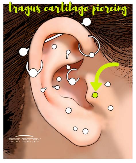 Encyclopedia Of Body Piercings Tragus Cartilage Piercing Bodycandy