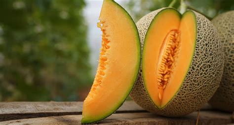 How To Tell If A Cantaloupe Is Ripe Tips On Picking The Perfect Sweet