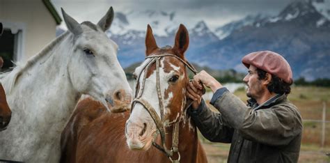 Horseback Ride In Patagonia Estancia Cristina