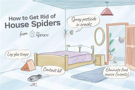 How To Get Rid Of Spiders In The House