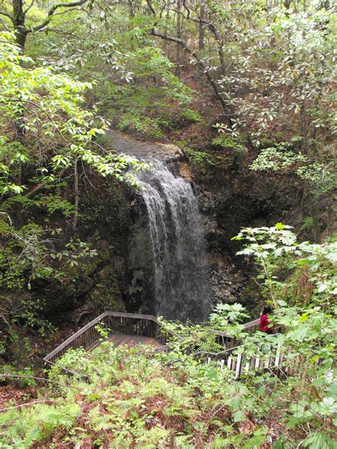 The Best Hiking Trails With Waterfalls Around Tampa Fl